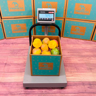 Honey Kiss Mango Box Mangoes Tropical Fruit Box